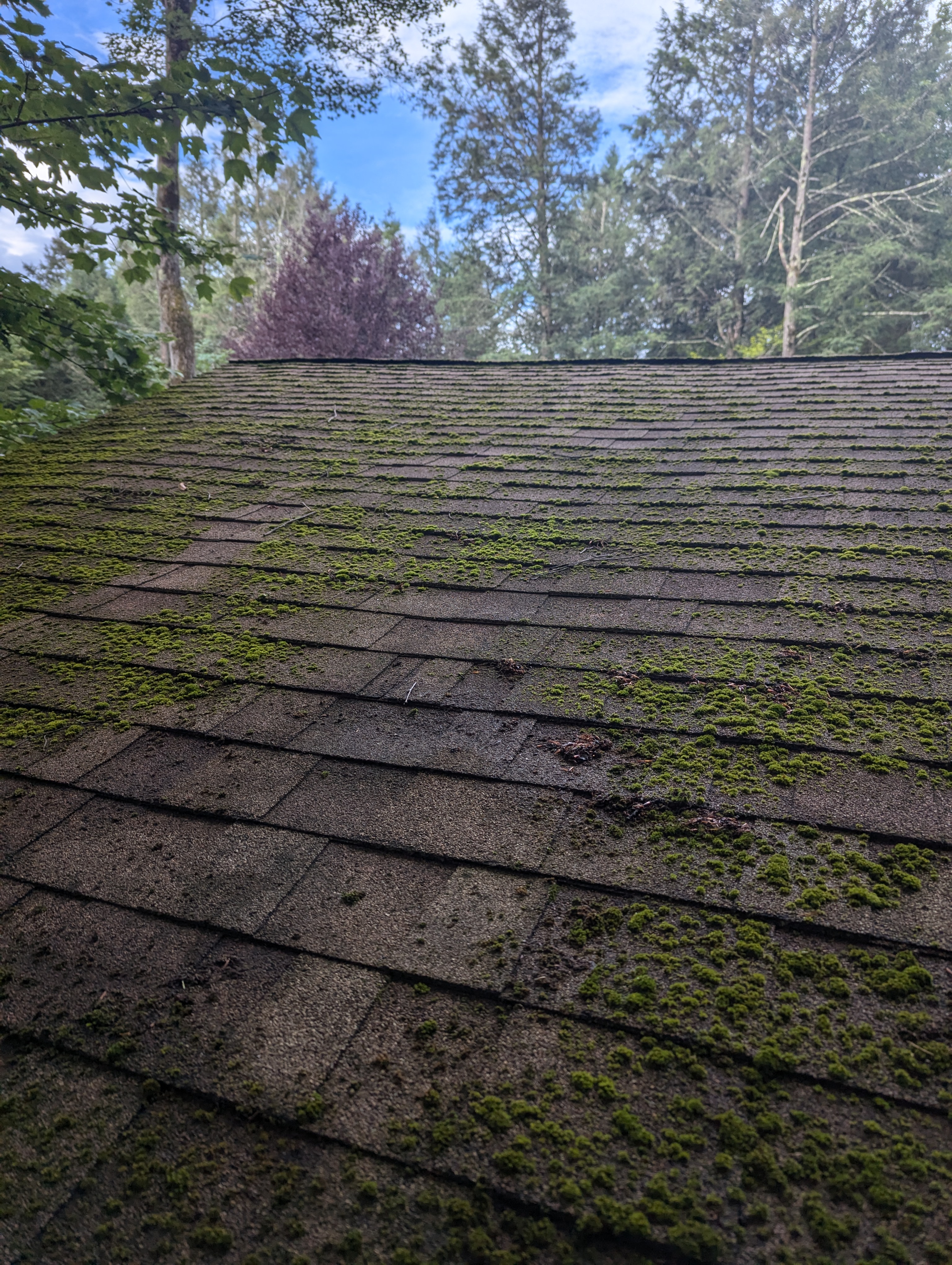 Roof washing treatment holiday Poconos 