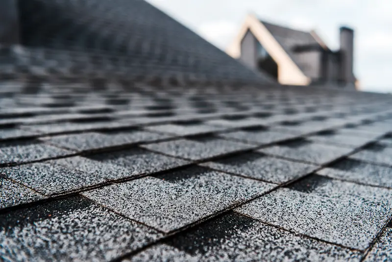 Understanding Gloeocapsa Magma and How Roof Washing Can Eliminate Black Streaks